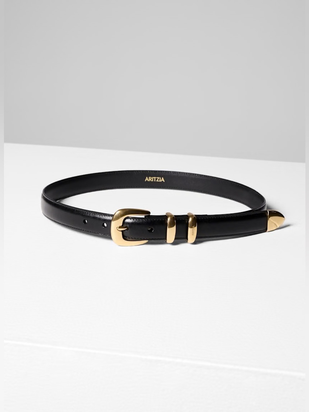 Aritzia Legendary Solid Brass Black Leather Belt L